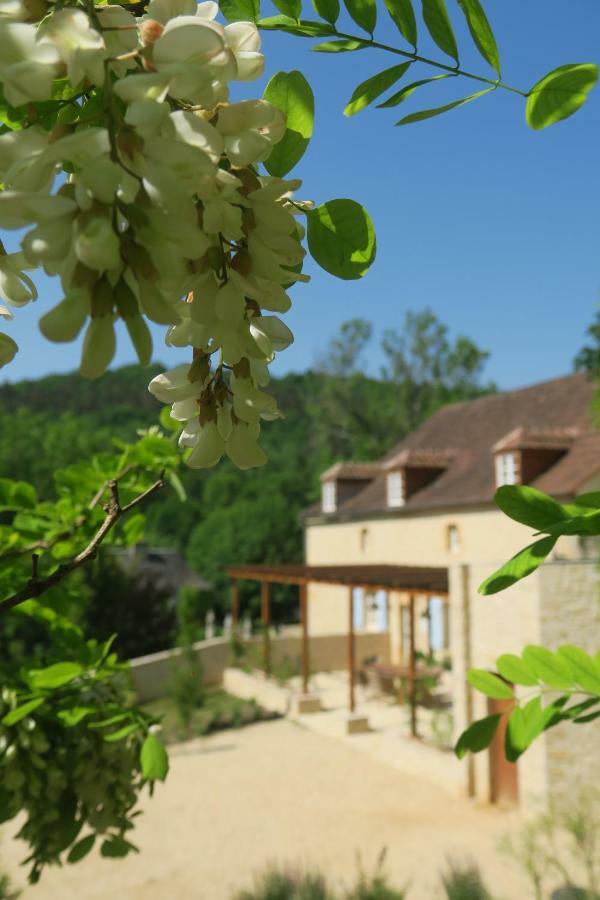 Maison Du Cedre Auriac-du-Périgord Dış mekan fotoğraf